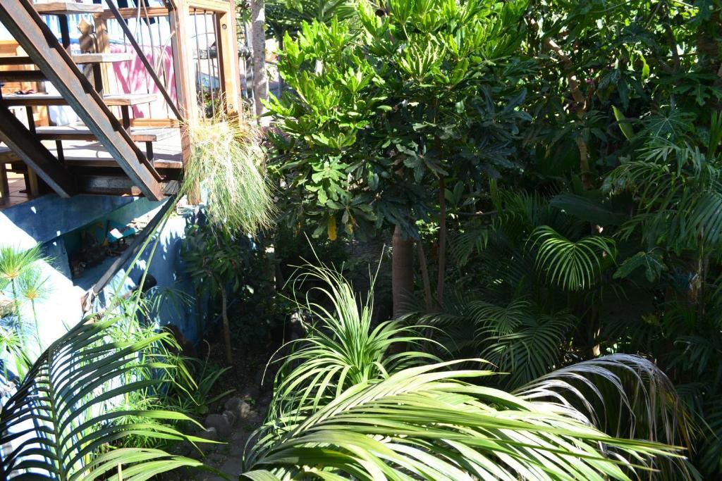 El Porvenir Hostel Los Llanos De Aridane Exterior photo